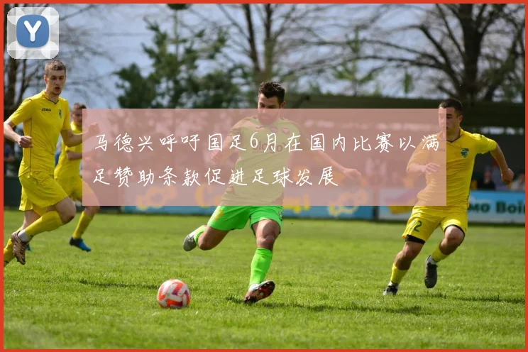 马德兴呼吁国足6月在国内比赛以满足赞助条款促进足球发展